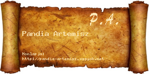 Pandia Artemisz névjegykártya